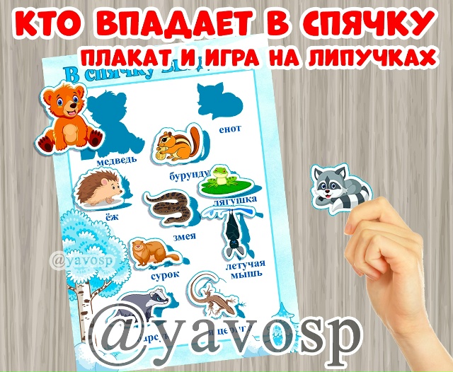 Кто зимой впадает в спячку?