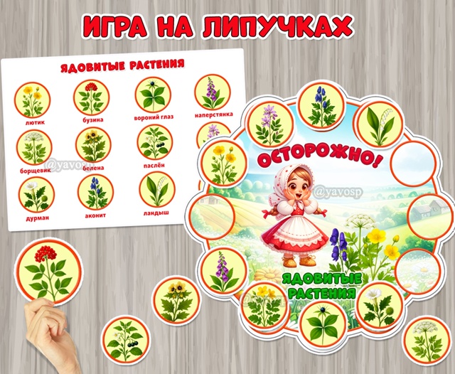 Игра на липучках «Осторожно! Ядовитые растения»