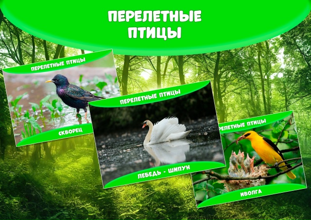 Картотека "Перелетные птицы"