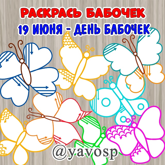 День бабочек ежегодно отмечают 19 июня.