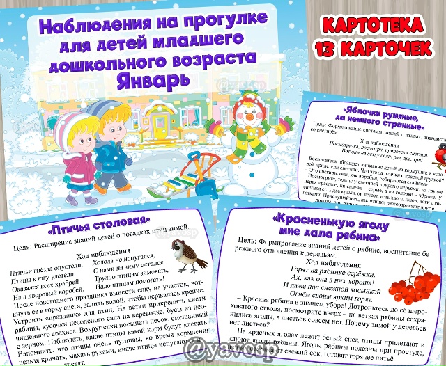 Картотека наблюдений на прогулке в январе