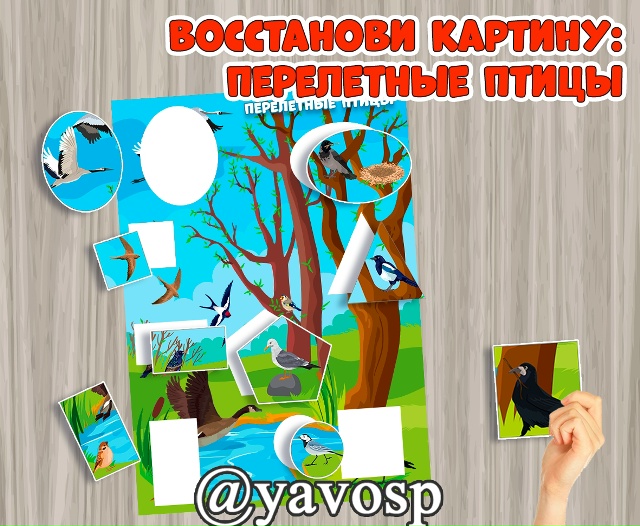 Восстанови картинку: Перелетные птицы