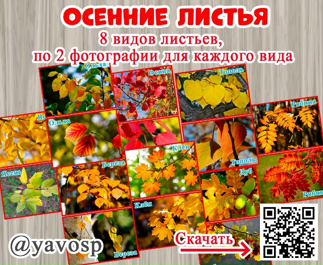 Осенние листья.