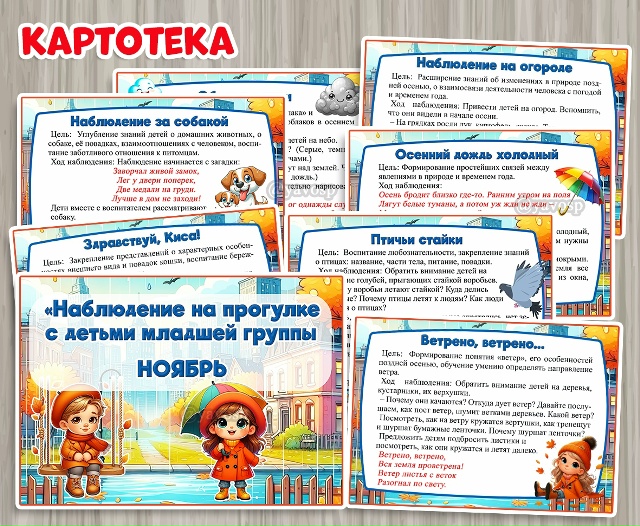 Картотека наблюдений на прогулке в ноябре