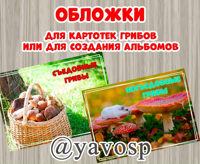 Съедобные и несъедобные грибы.