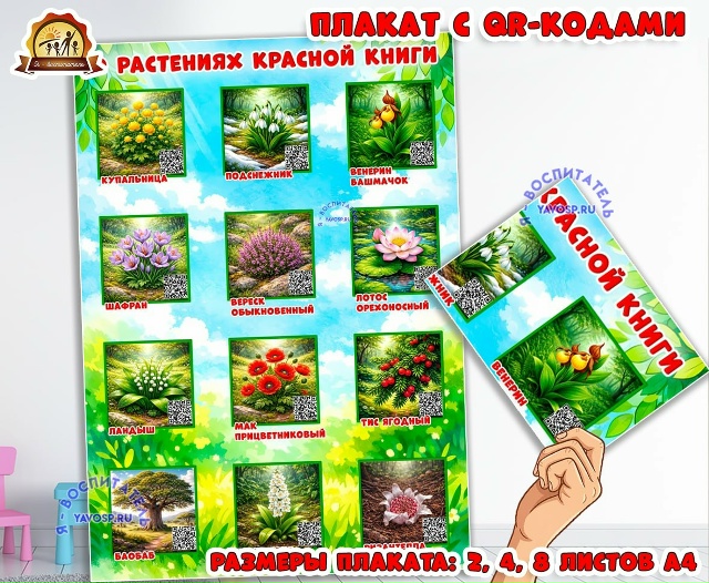 Плакат с QR-кодами "Растения красной книги"