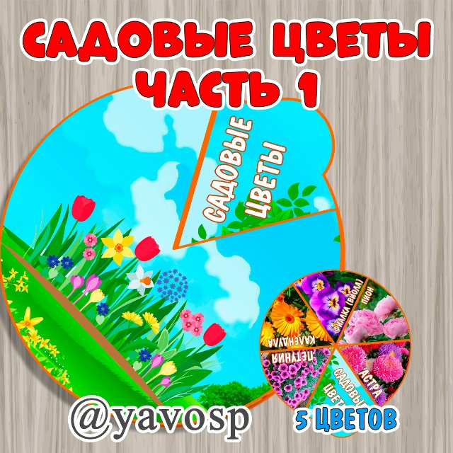 Круг-вертушка "Садовые цветы"