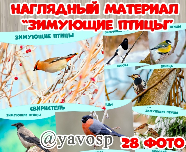 Наглядный материал "Зимующие птицы"