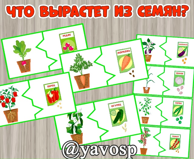 Что вырастет из семян?
