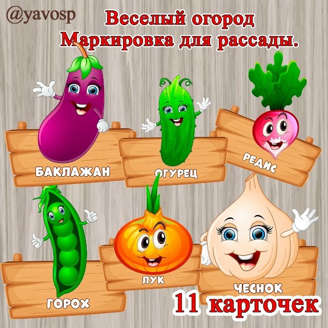 Наш веселый огород!