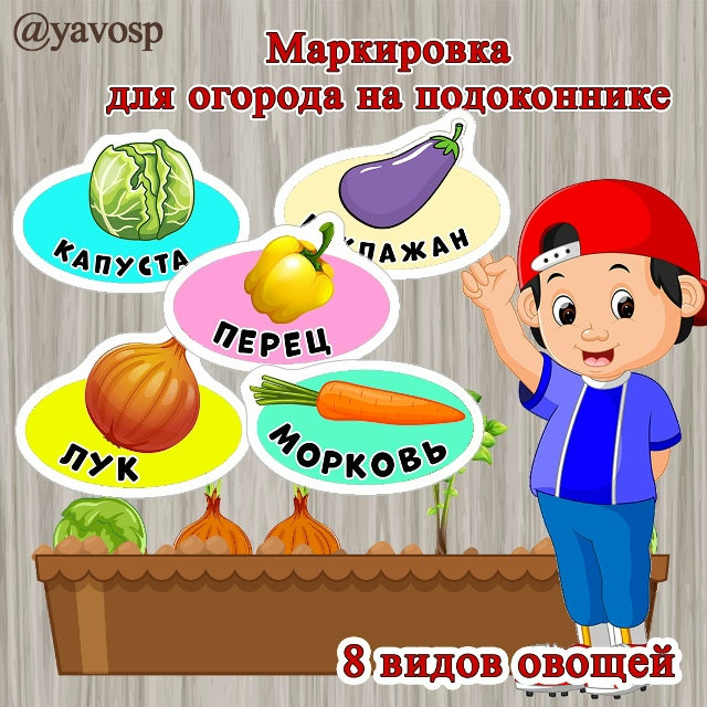 Маркировка для огорода на подоконнике.