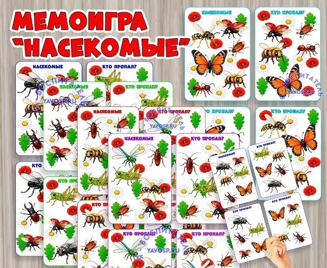 Развивающая игра на внимание и память - мемоигра «Насекомые»