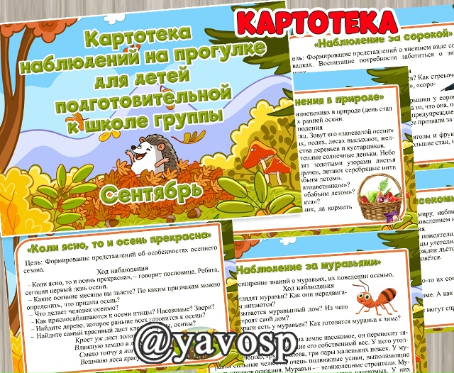 Картотека наблюдений на прогулке в СЕНТЯБРЕ