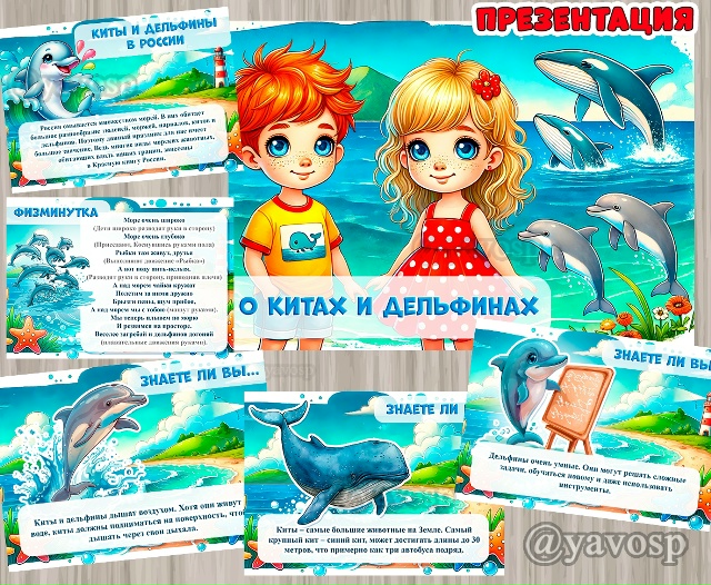 Презентация "О китах и дельфинах"