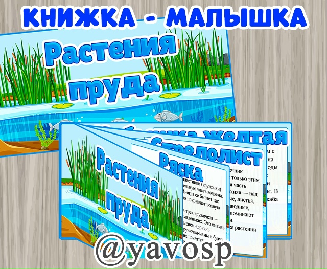 Книжка - малышка "Растения пруда"
