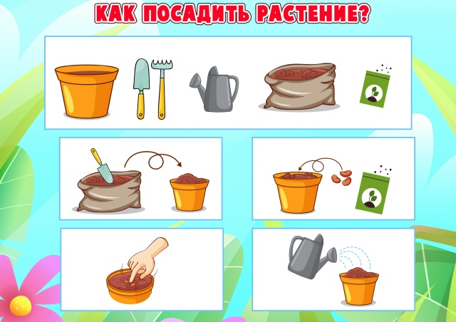 Как посадить растение?