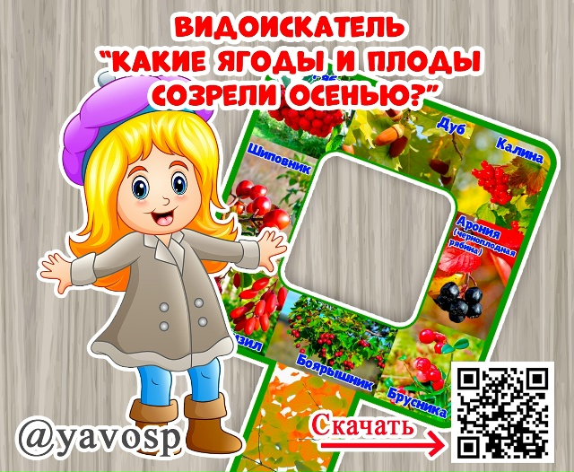 Какие ягоды и плоды созревают осенью?