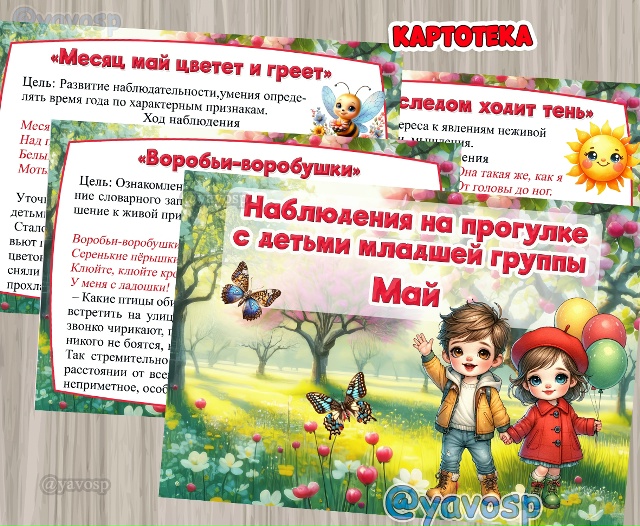 Картотека наблюдений на прогулке в МАЕ