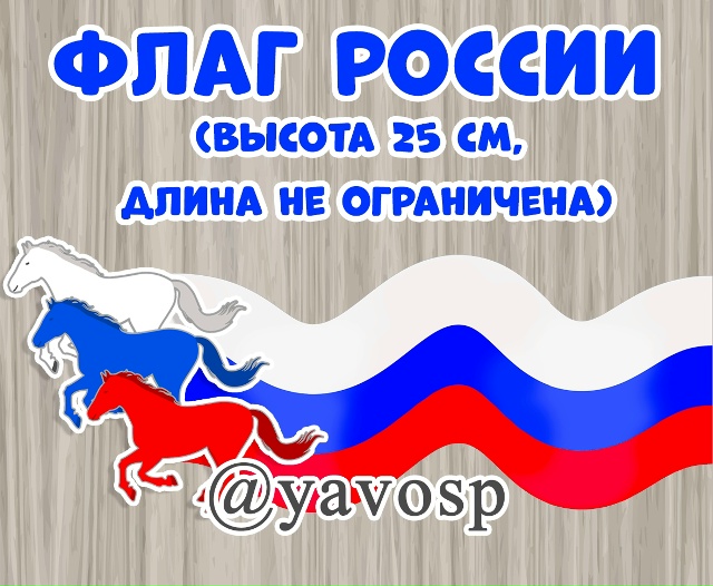 Флаг России - лошади
