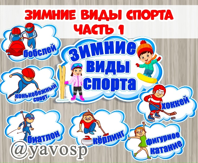 Зимние виды спорта