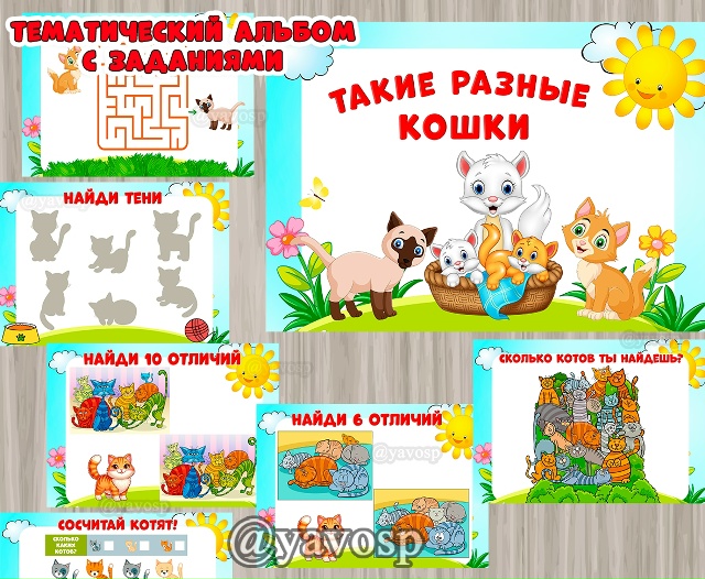 Тематический альбом "Такие разные кошки"