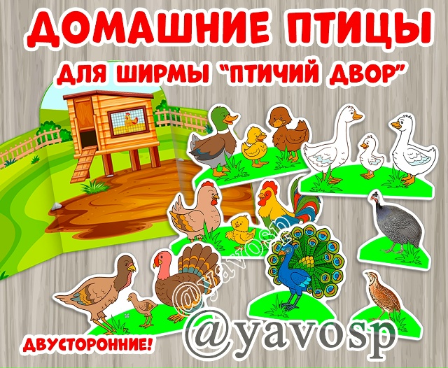 Домашние птицы