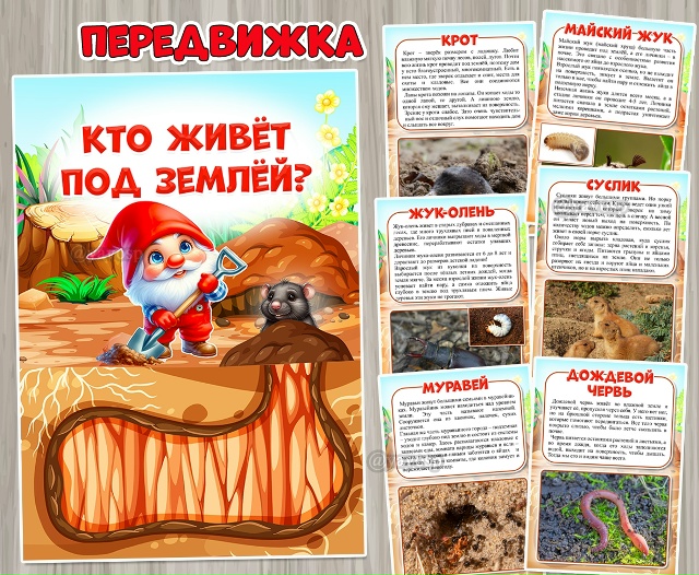 Кто живет под землей?