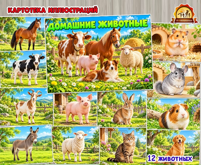 Картотека иллюстраций «Домашние животные»