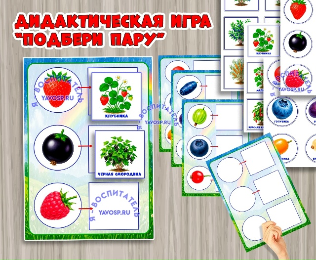 Игра «Подбери пару: ягоды».