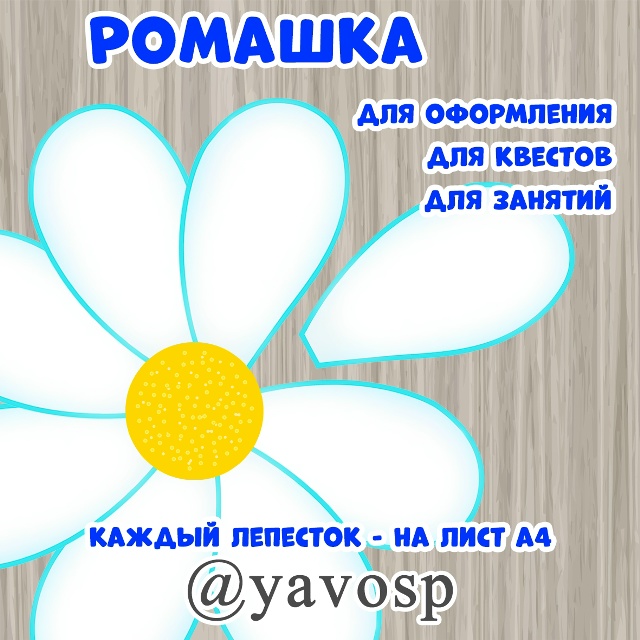 Большая ромашка