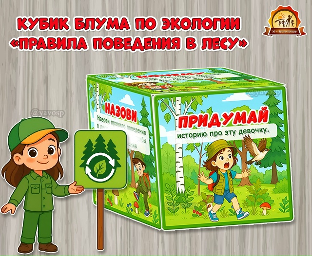 Кубик Блума по экологии «Правила поведения в лесу»