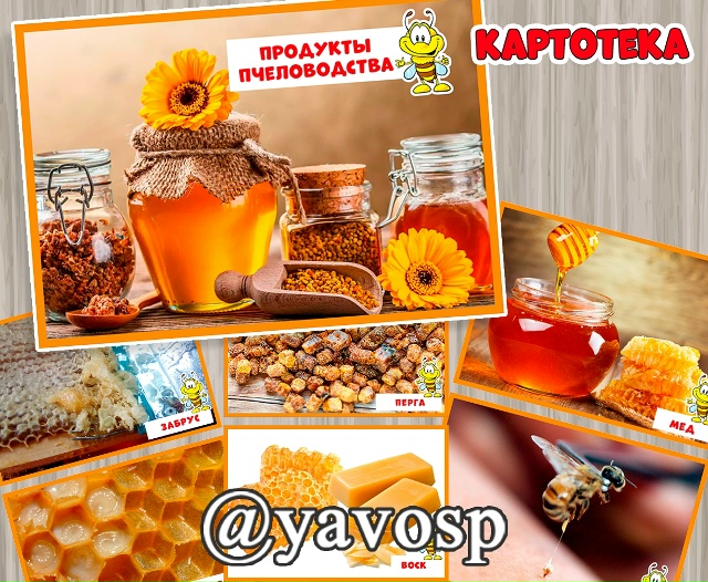 Картотека "Продукты пчеловодства"