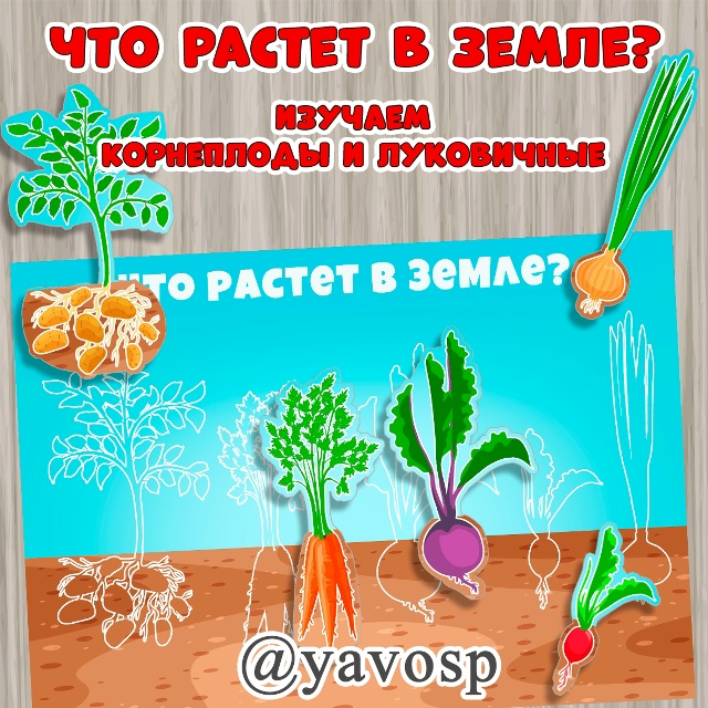 Что растет в земле?