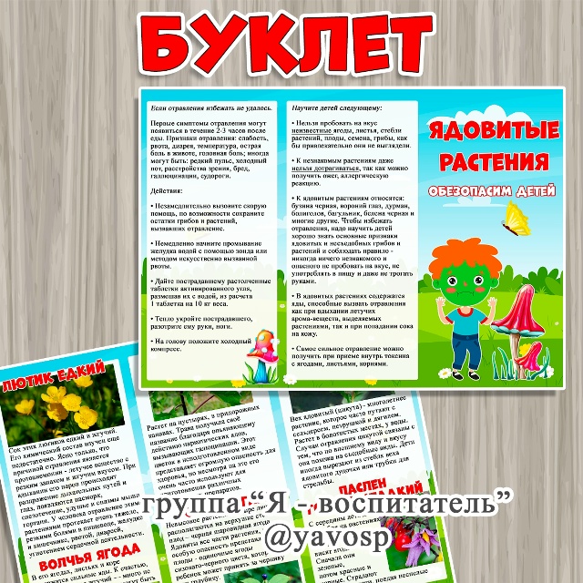 Буклет "Ядовитые растения"