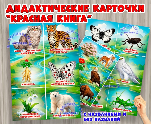Дидактические карточки "Красная книга России"
