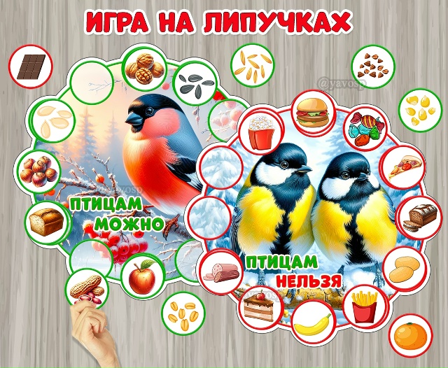 Дидактическая игра на липучках «Чем можно и нельзя кормить птиц?»