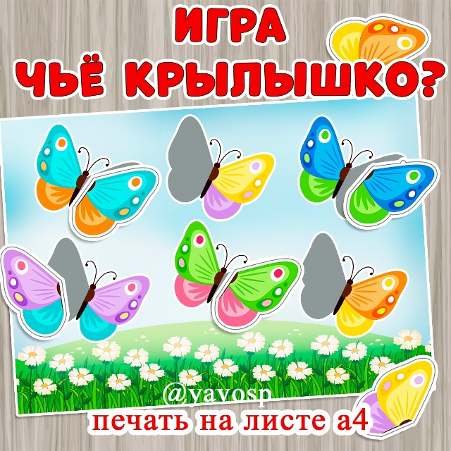 Игра "Чье крылышко?"