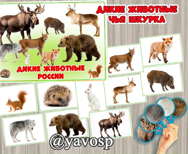 Дикие животные России