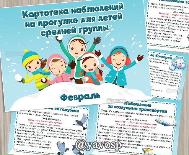 Картотека наблюдений на прогулке в ФЕВРАЛЕ