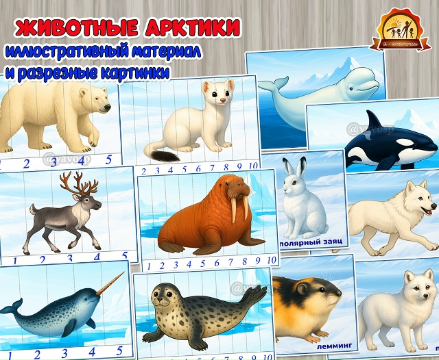 Животные Арктики