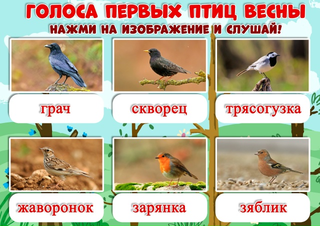 Продолжим тему птиц весной.