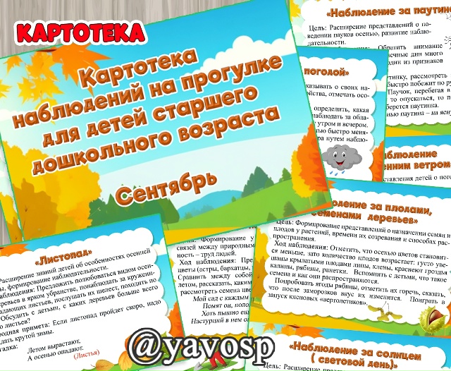 Картотека наблюдений на прогулке в сентябре