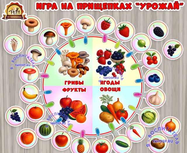 Игра на прищепках "Урожай": сортируем овощи, фрукты, грибы и ягоды