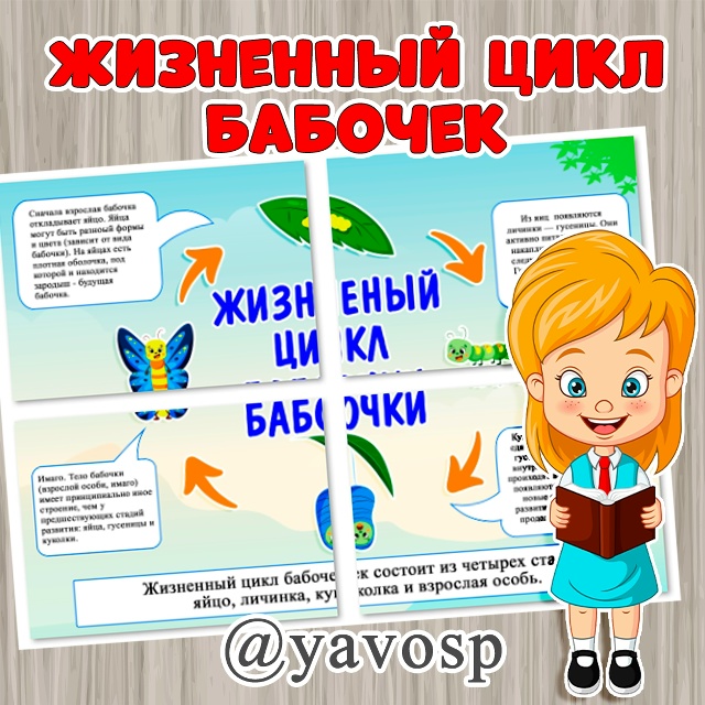 Жизненный цикл бабочек 🦋