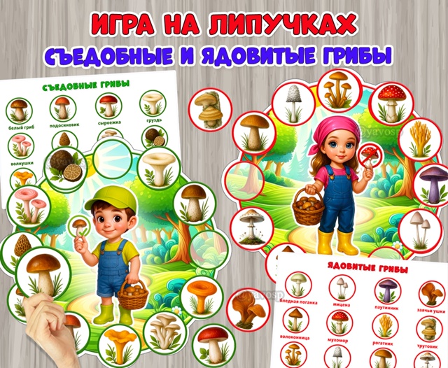 Дидактическая игра на липучках «Съедобные и ядовитые грибы»