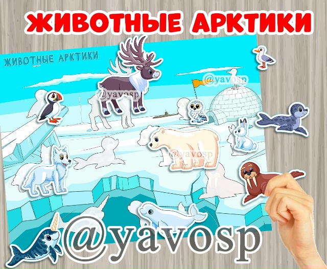 Животные Арктики