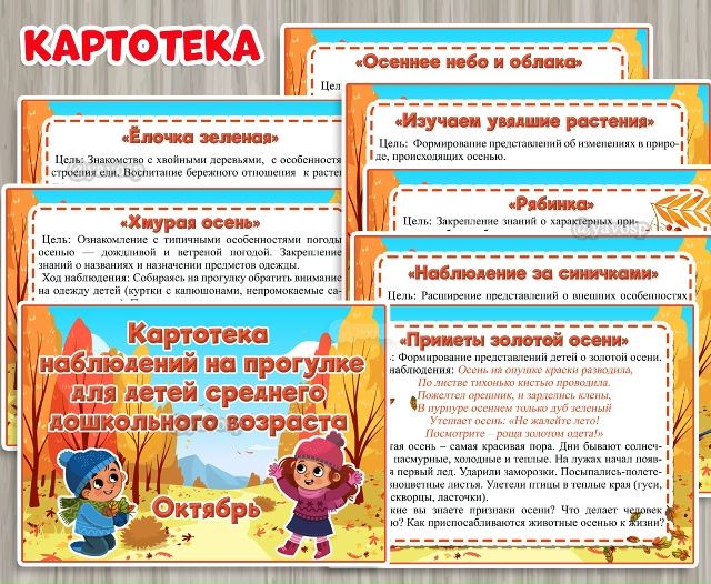Картотека наблюдений на прогулке в октябре
