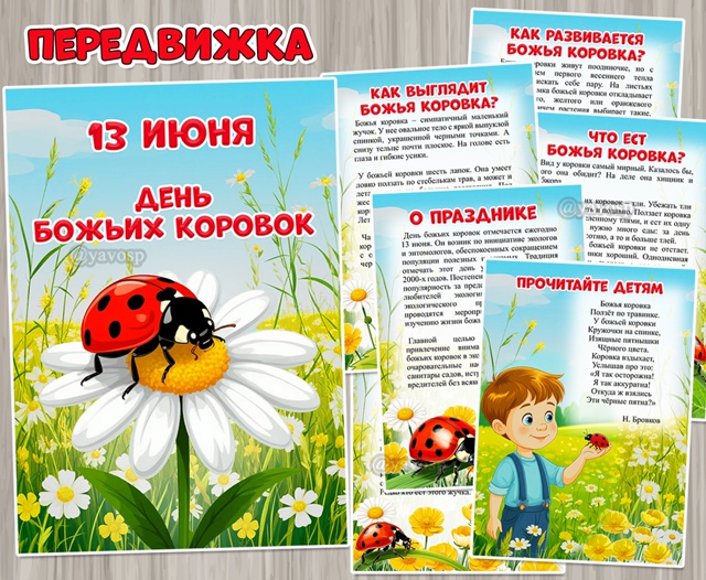13 июня - день божьих коровок.