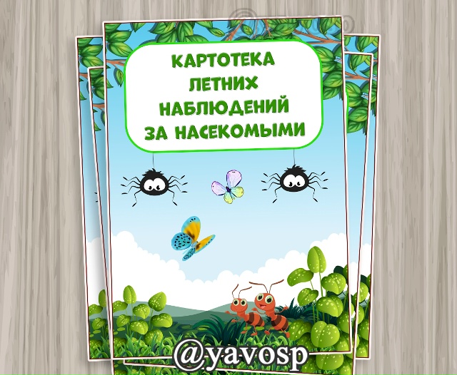 Картотека наблюдений за насекомыми