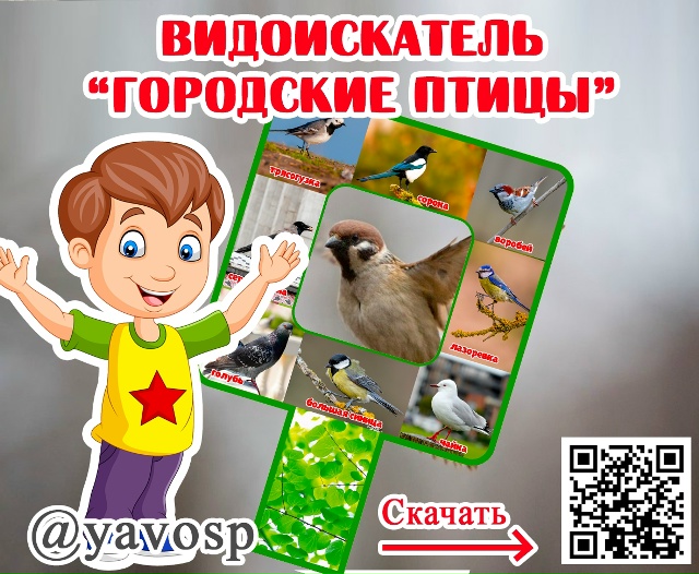 Давайте обратим внимание на птиц, которые чаще всего бывают на участках наших детских садов.